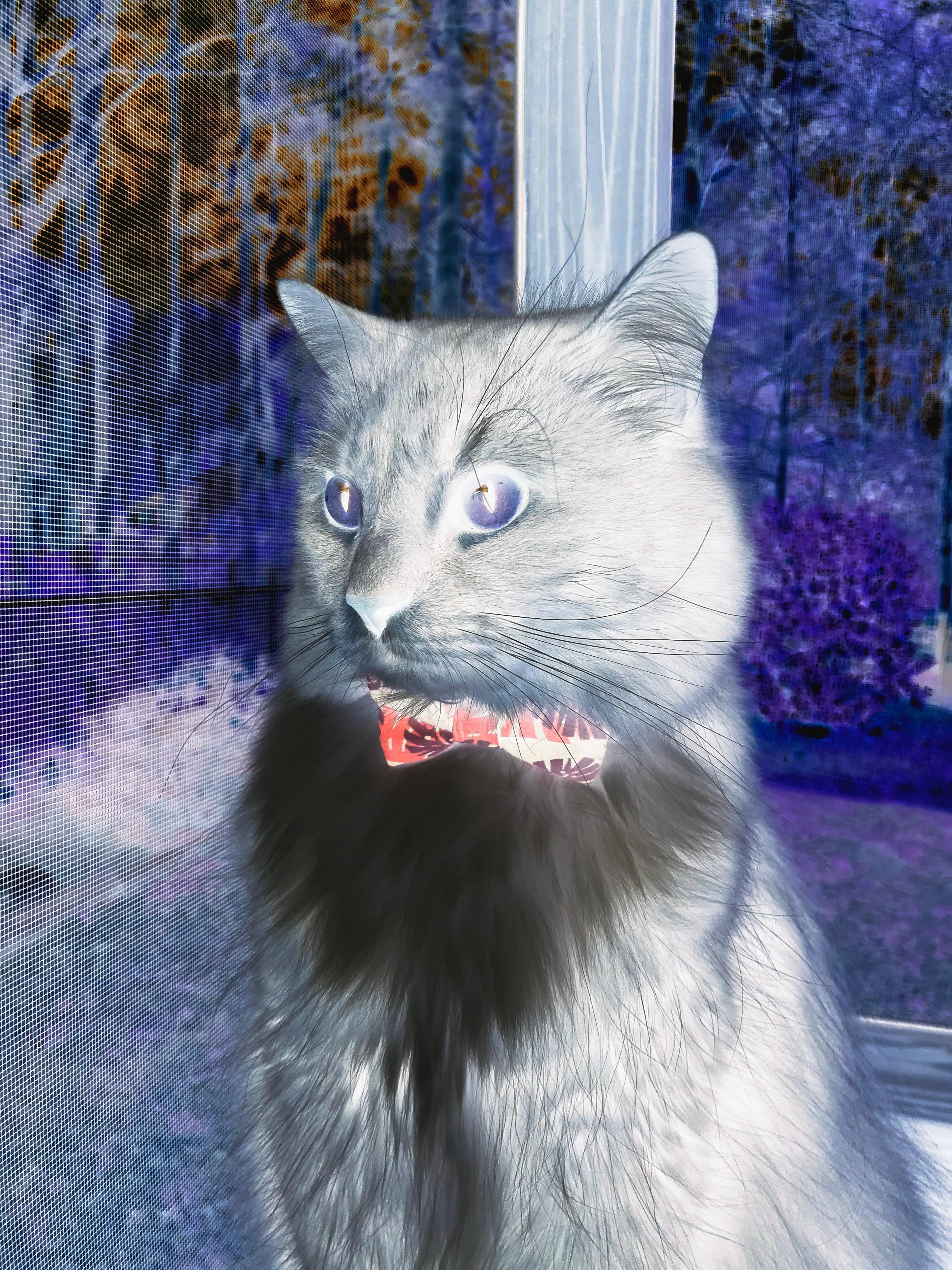 “西甲赛场：明星纷纷展露锋芒，比赛精彩纷呈”，西甲明星都有哪些