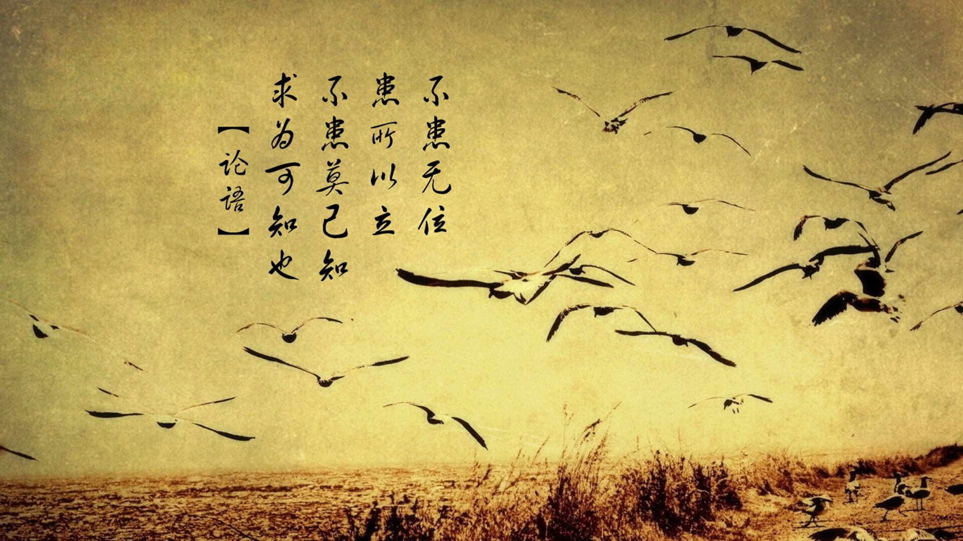 法甲球迷文化日益繁荣，现场氛围火爆，球迷网法甲