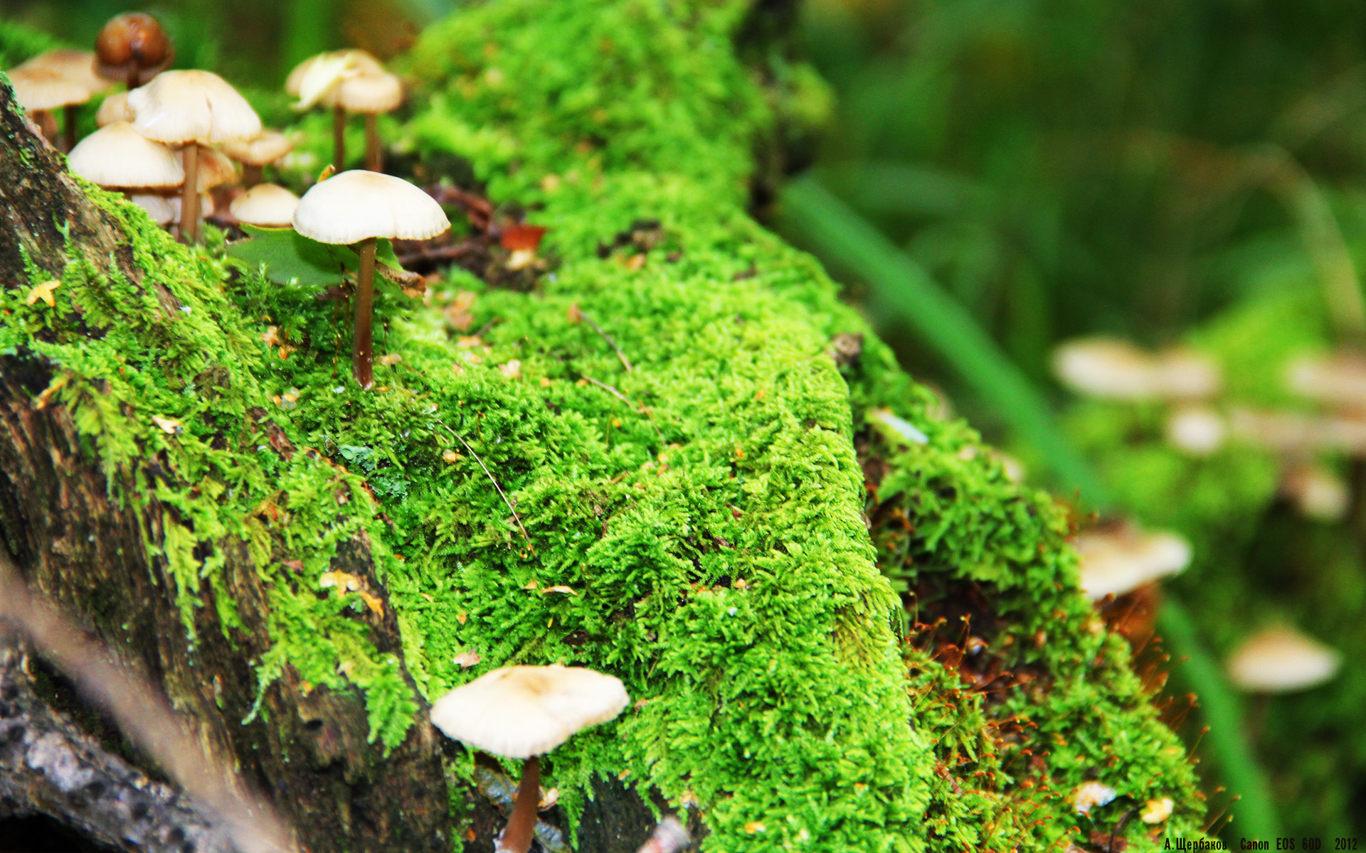 B体育亚洲官方网站-赛前冲刺：车手们的赛日准备全纪录，赛车手比赛前应该做什么