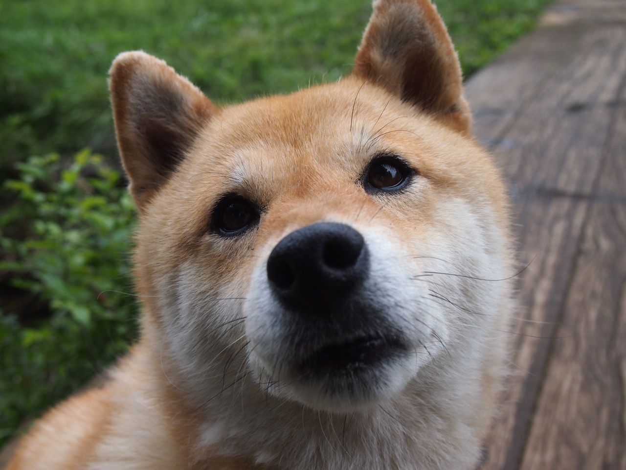 赛前排位:策略选择让你提前占优,赛前排位有什么用