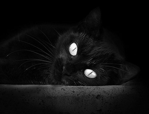 NBA全明星赛前瞻：东西部队伍实力对比，nba全明星东西部各多少人