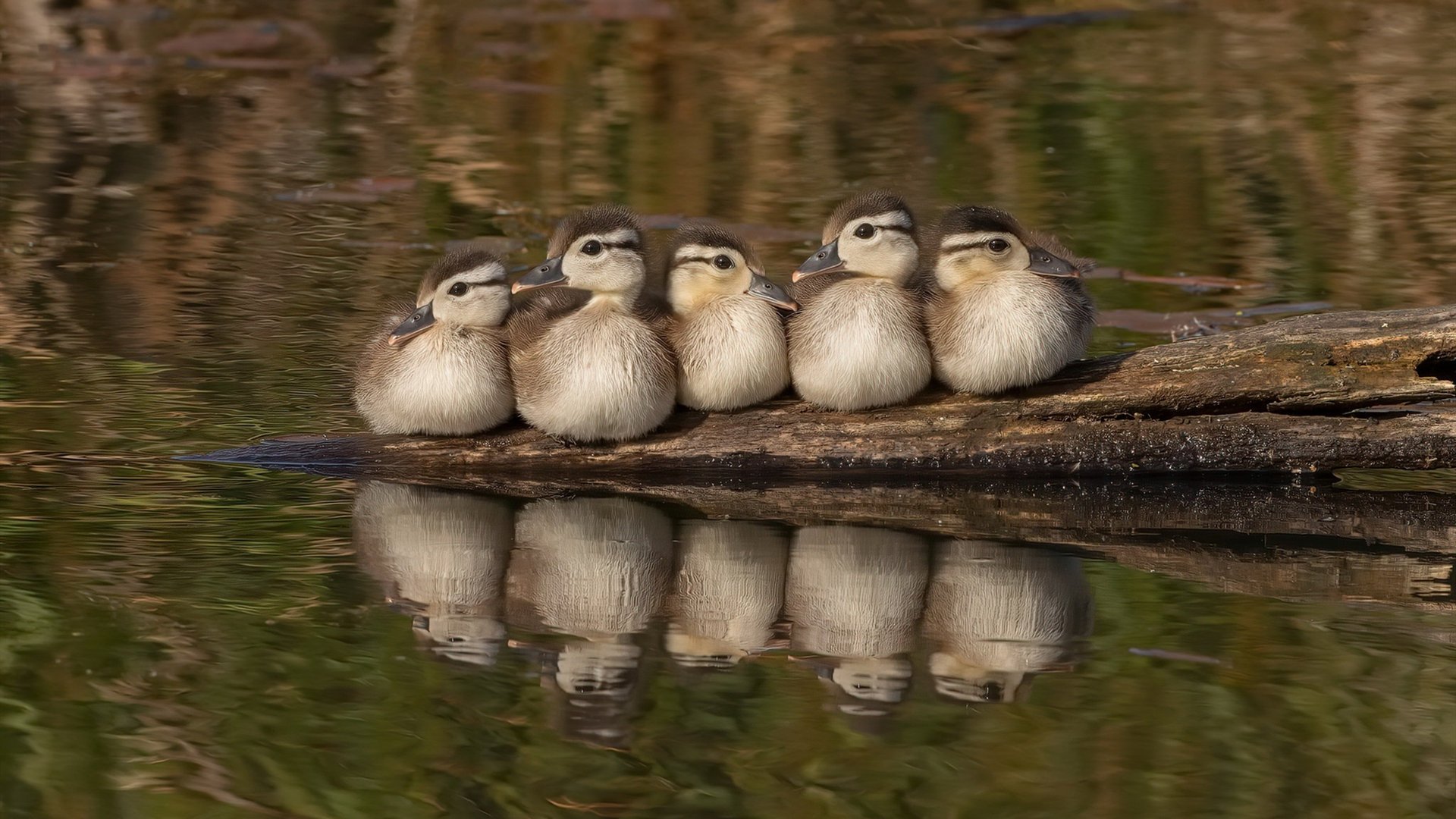 挑战无止境 东西部强队角逐捧杯,挑战无止境是什么意思