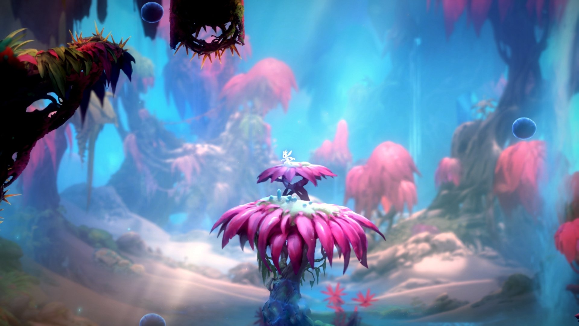 B 体育官网-纽卡斯尔联主场2-1逆转利物浦，夺得联赛杯冠军，纽卡斯尔vs利物浦历史比分