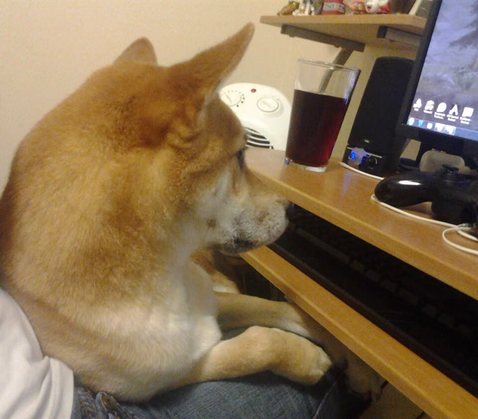 英雄联盟夏季赛运动员综合评分系统正式上线，英雄联盟夏季赛积分榜排名实时