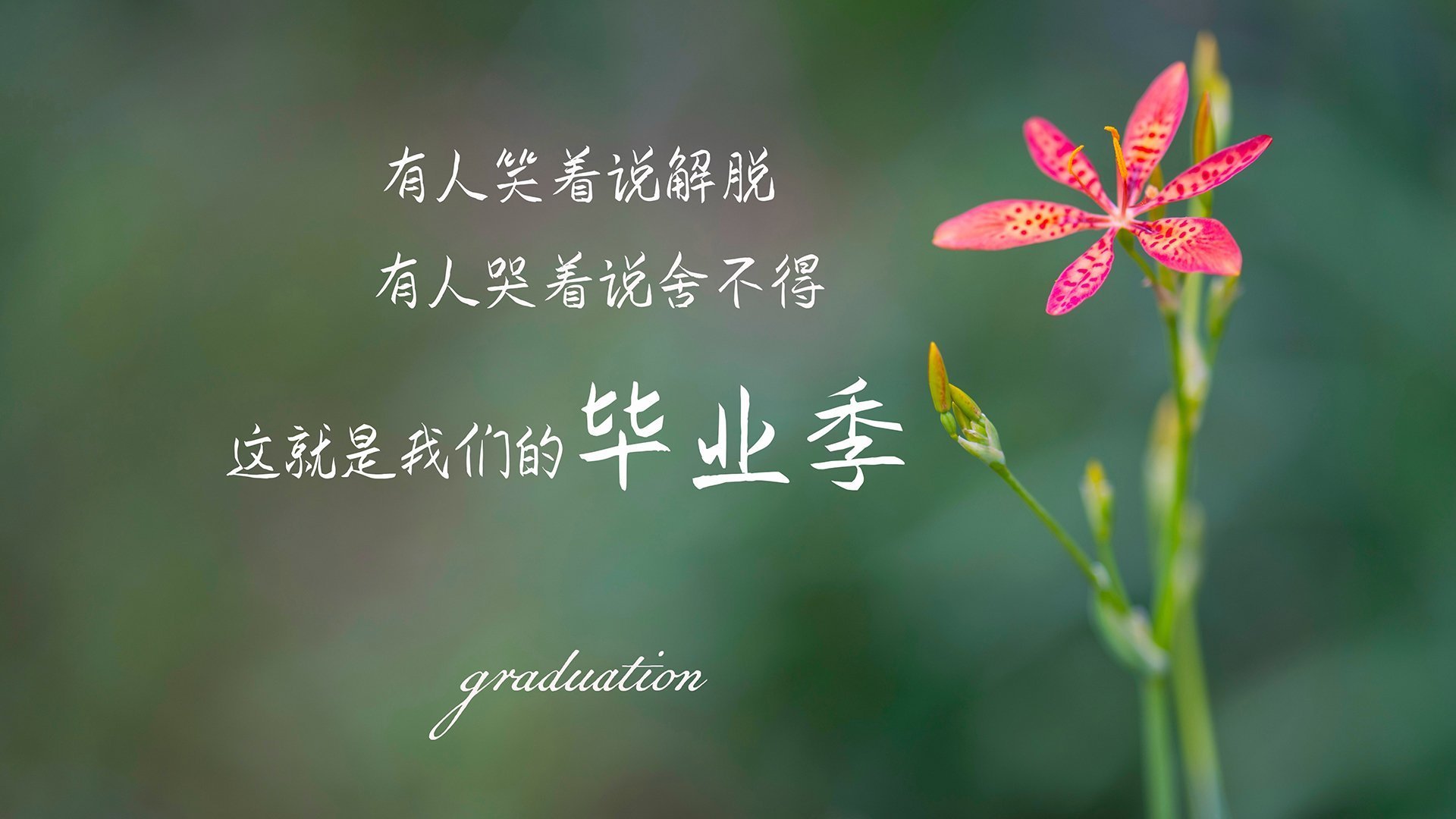 中小学体育教师教学效果评估体系构建，中小学体育工作评估指标体系表范文