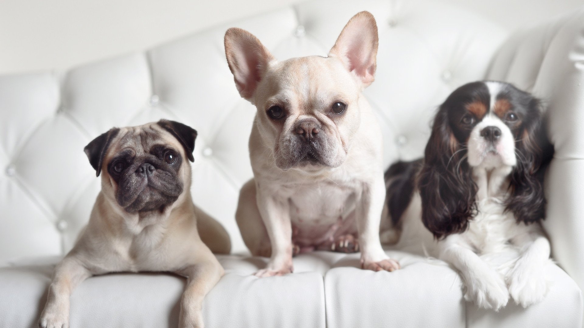 体育心理干预在青少年训练中的应用，体育训练种心理问题案例