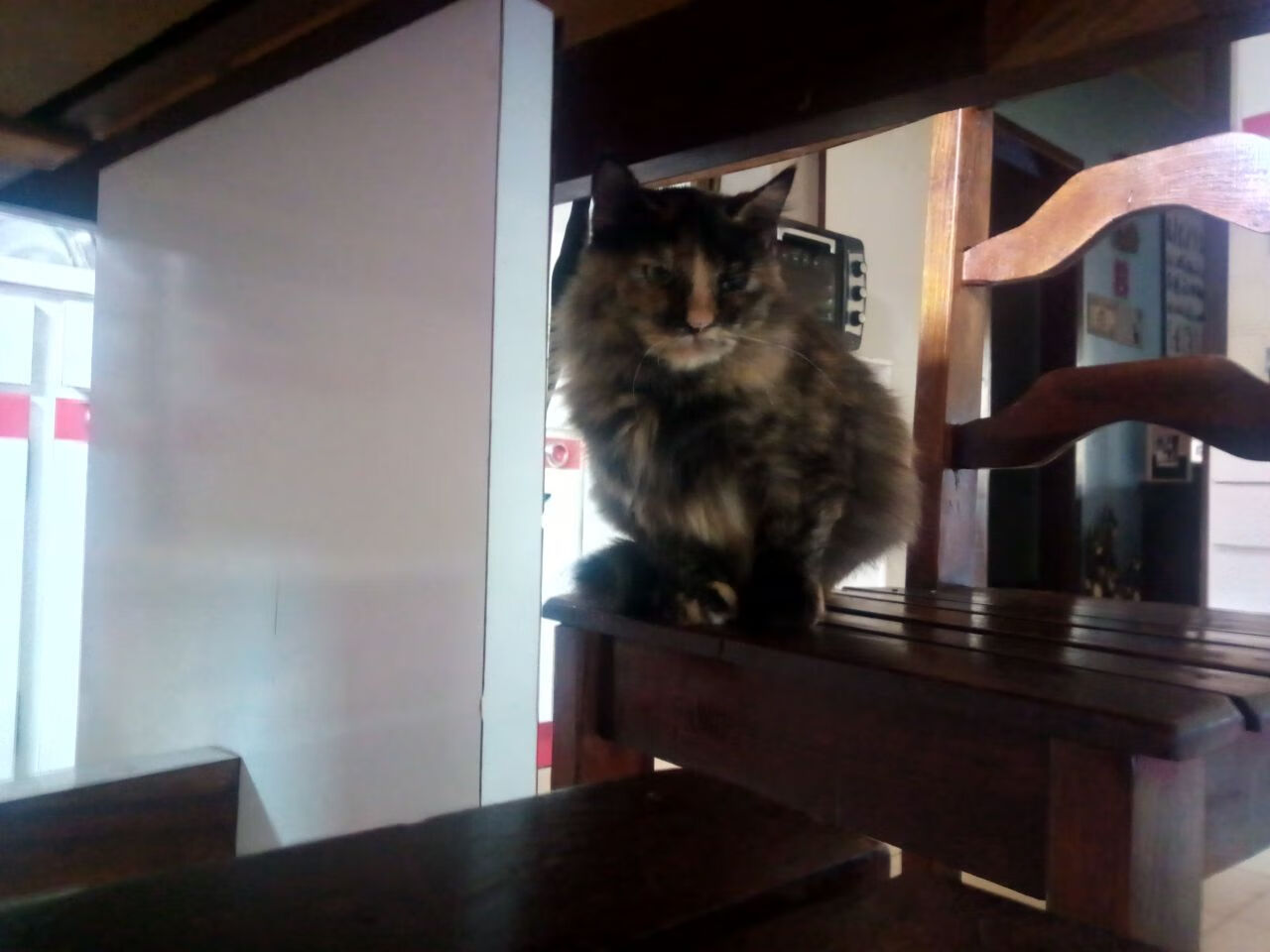 B体育APP下载网址-全国青年轮滑赛场上青春飞扬，激烈对决不断，2020全国青少年轮滑锦标赛