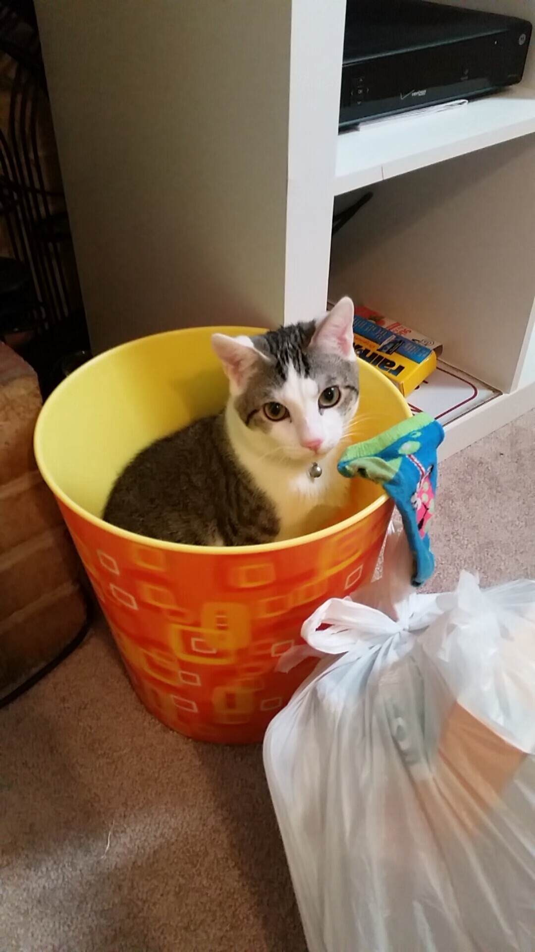 万名志愿者集结,智能服务系统上线,万人志愿服务活动