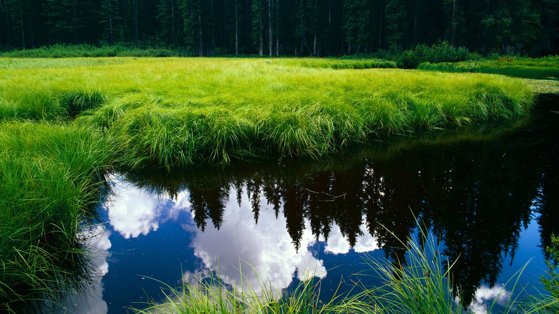 BSPORT APP-青少年选手流动机制不健全，流动青少年面临的问题