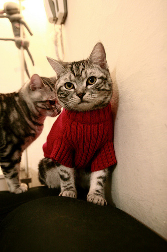 b体育平台-普劳德冲刺阶段技术表现惊艳，劳德普鲁