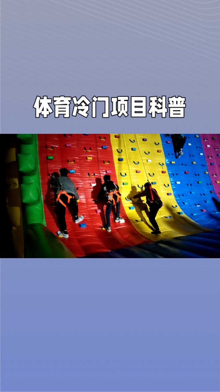 包含B体育:体育与科技的结合，如何提升观赛体验的词条